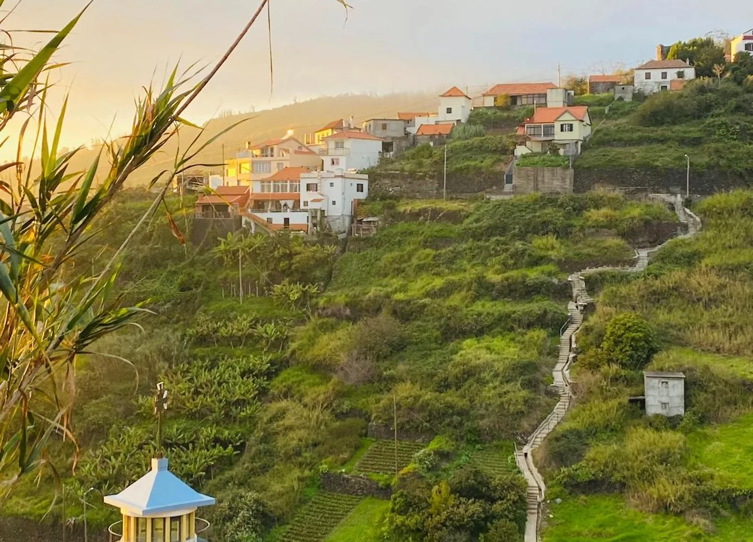 Casa Boho Your Happy Place In Calheta Calheta  Apartment